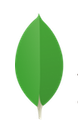 logo mongodb